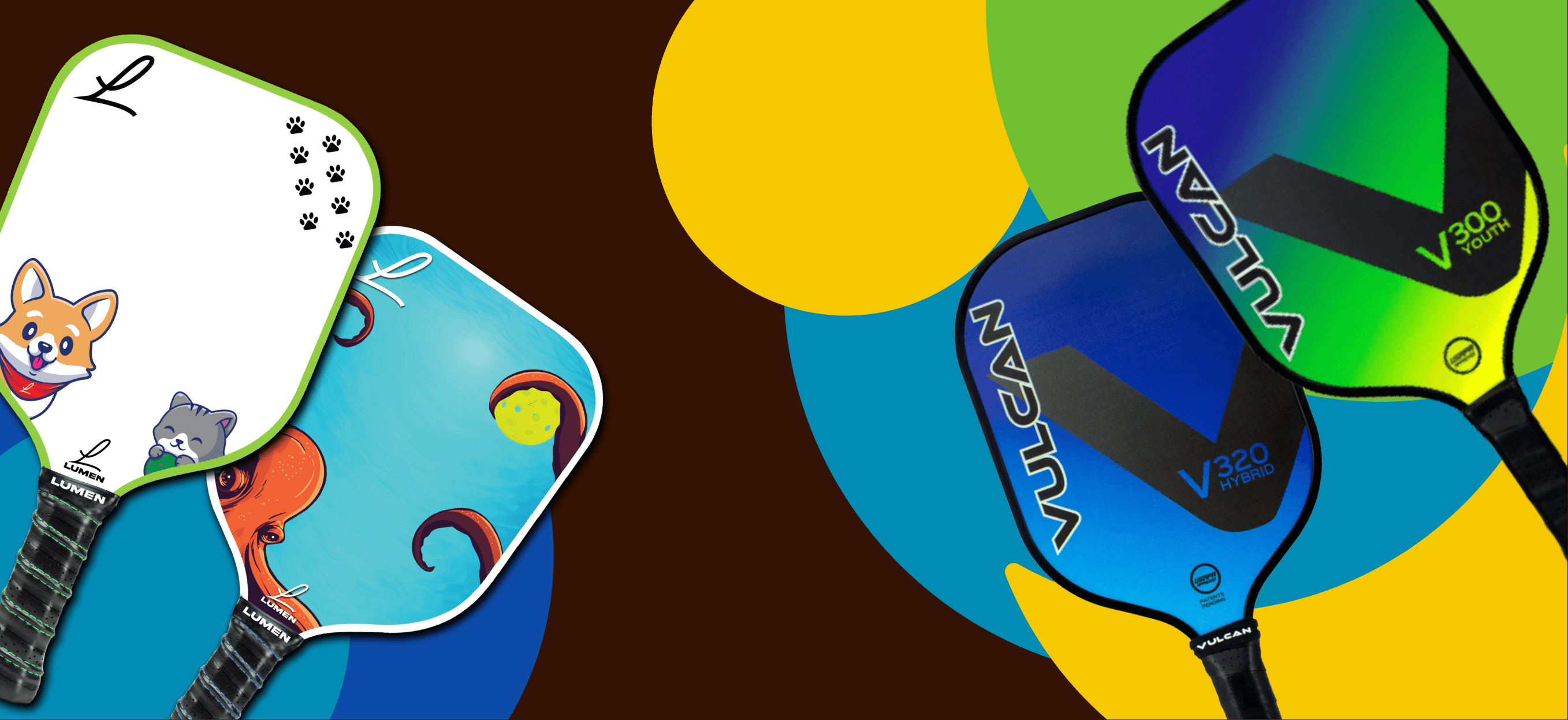 youth pickleball paddle collection banner graphic